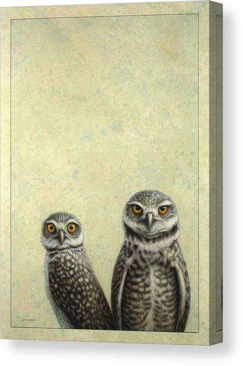 Owls Canvas Print featuring the painting Burrowing Owls by James W Johnson