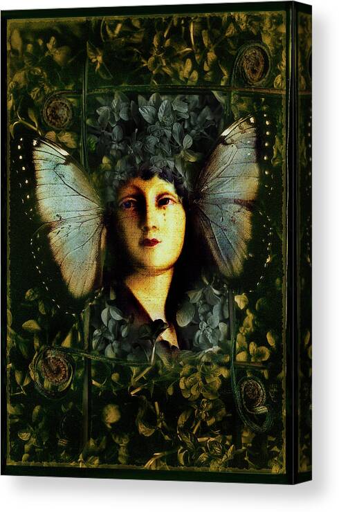 Butterfly Canvas Print featuring the photograph Butterfly Woman by David Chasey