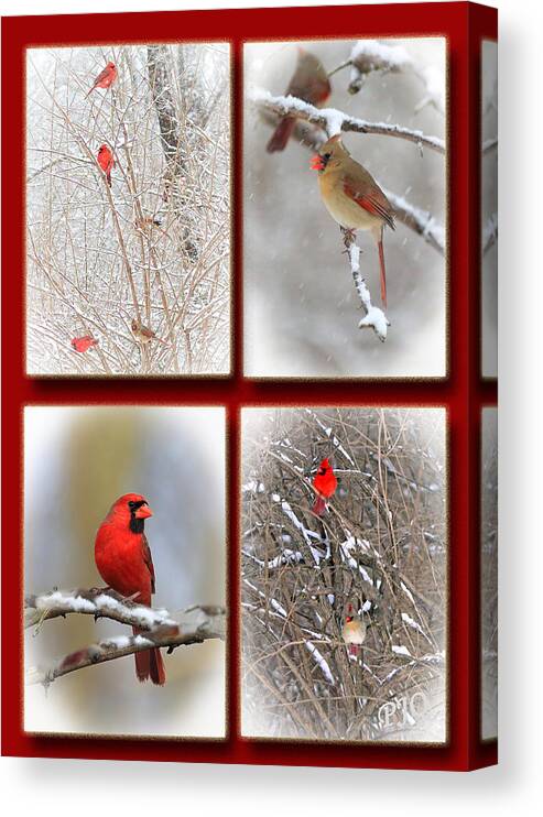 Cardinals For The Holidays Canvas Print featuring the photograph Cardinals Out the Window by PJQandFriends 