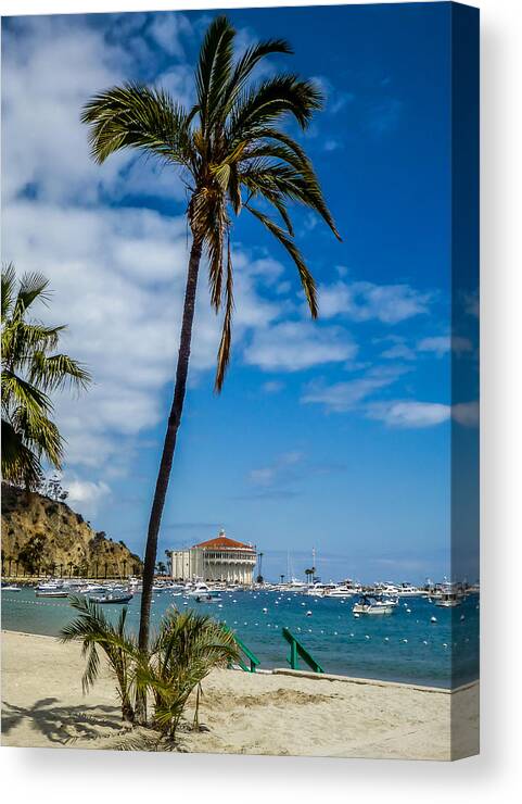 Catalina Canvas Print featuring the photograph Catalina Casino and Palm Tree by Pamela Newcomb