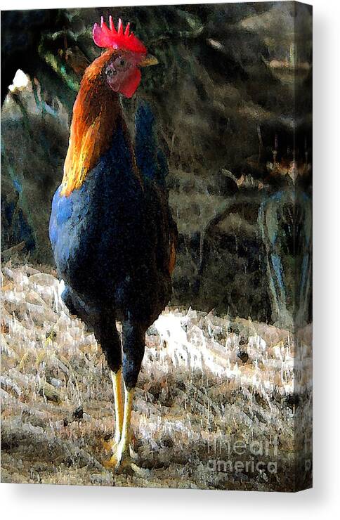 Chicken Canvas Print featuring the photograph You Talkin To Me? by James Temple