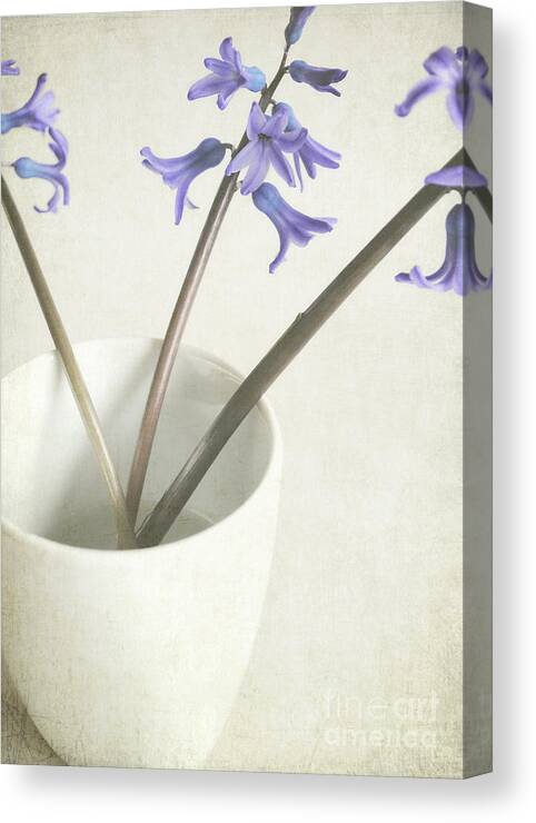 White China Cup Canvas Print featuring the photograph China Cup by Lyn Randle