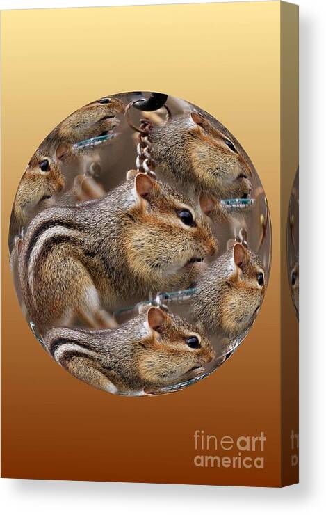 Chipmunk Canvas Print featuring the photograph Chippy by Rick Rauzi