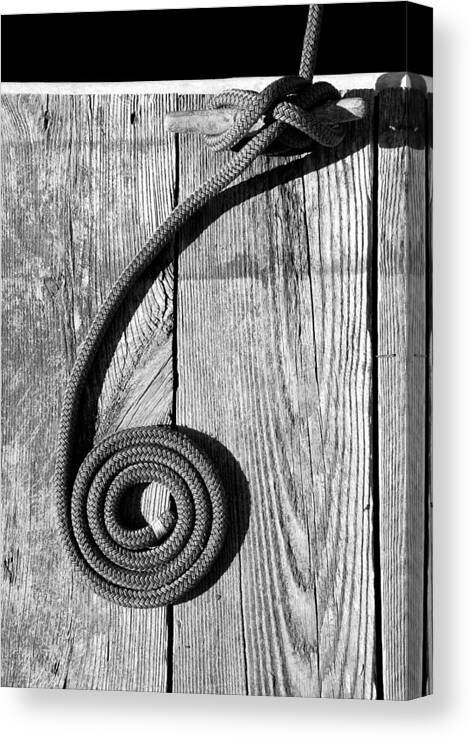 Coiled Canvas Print featuring the photograph Coiled by Charles Harden