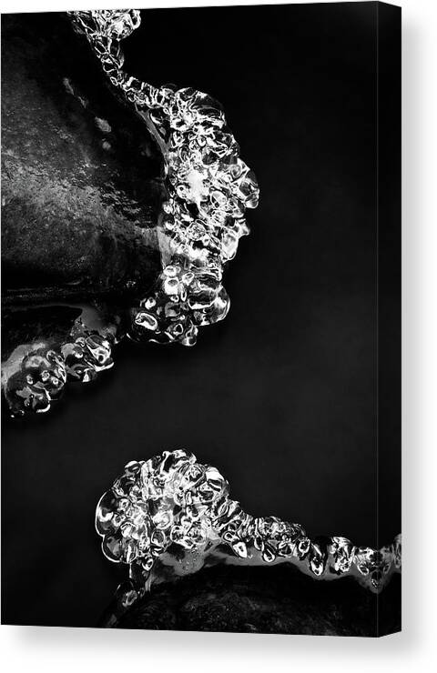 Ice Canvas Print featuring the photograph Cold White Diamonds by Darren White