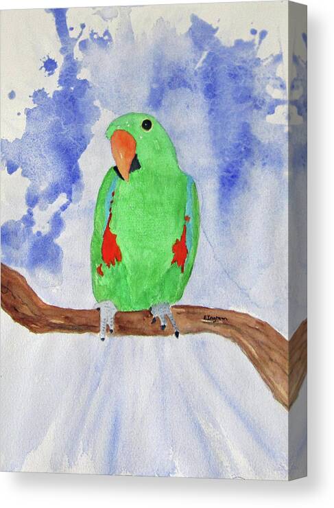 Bird Parrot Canvas Print featuring the painting Female Parrot by Elvira Ingram