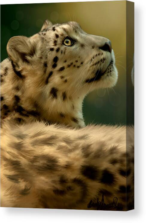 Snow Leopard Canvas Print featuring the painting Contemplation by Becky Herrera