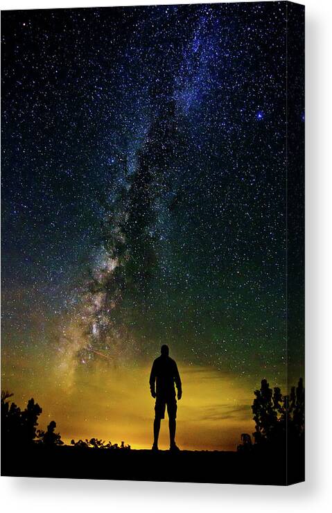 Milky Way Canvas Print featuring the photograph Cosmic Contemplation by Eilish Palmer