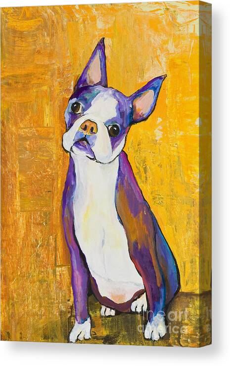Boston Terrier Animals Acrylic Dog Portraits Pet Portraits Animal Portraits Pat Saunders-white Canvas Print featuring the painting Cosmo by Pat Saunders-White