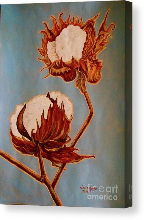 Cotton Plant Canvas Print featuring the painting Cotton from the South by Genie Morgan
