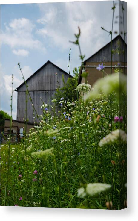 Farm Canvas Print featuring the photograph Country Life by Holden The Moment