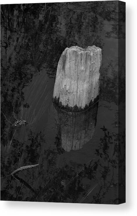 Creekside Post Canvas Print featuring the painting Creekside Post by Warren Thompson
