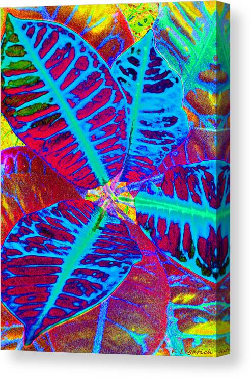 Croton Canvas Print featuring the digital art Croton - Primary Blend by Kerri Ligatich