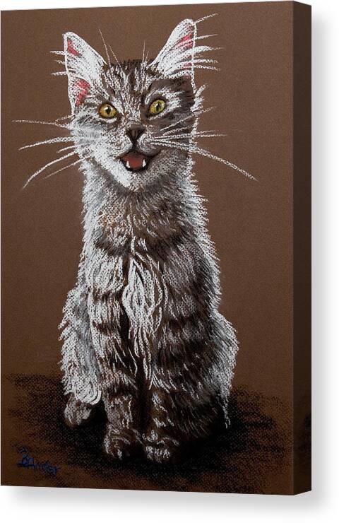 Maine Coon Cat Canvas Print featuring the pastel Cry Baby by Brent Ander