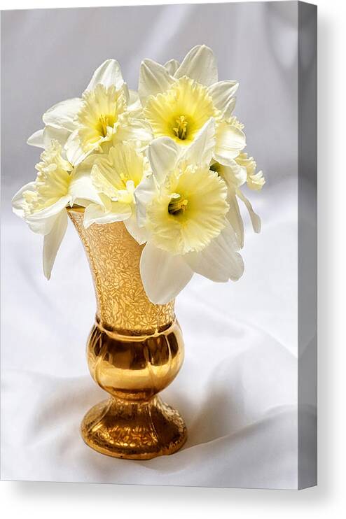 Daffodils Canvas Print featuring the photograph Daffodil Elegance by Kathi Mirto