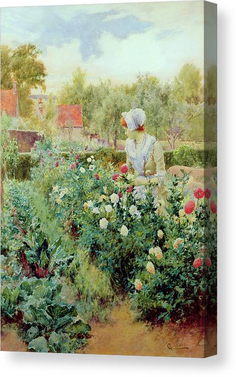 Dahlias Canvas Print featuring the painting Dahlias by Alfred Glendening