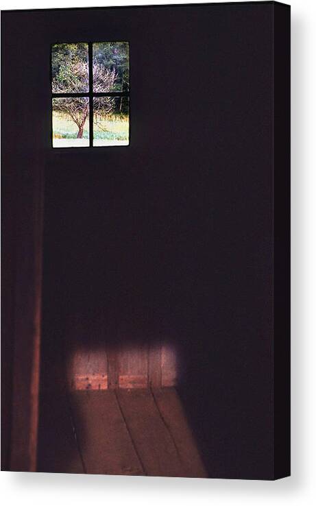 Cabin Canvas Print featuring the photograph Dark Cabin Window by Ted Keller