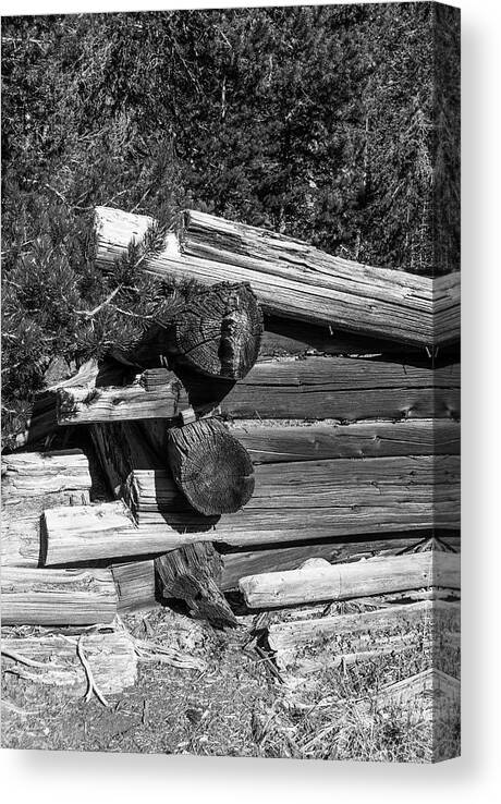 Ruins Canvas Print featuring the photograph DDP DJD B and W 1880s Log Cabin Ruins Montana 2 by David Drew