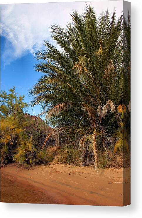 Desert Canvas Print featuring the photograph Desert Isle by Kristin Elmquist