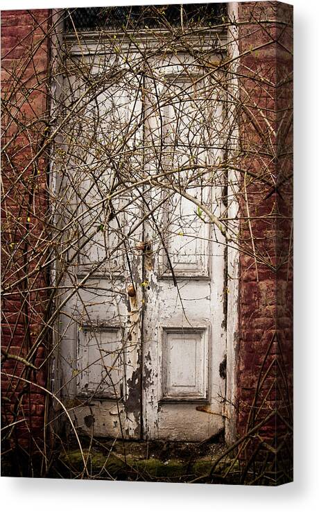  Canvas Print featuring the photograph Door to....? by Melissa Newcomb