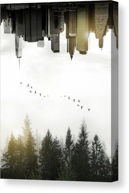 Duality Canvas Print featuring the photograph Duality by Nicklas Gustafsson
