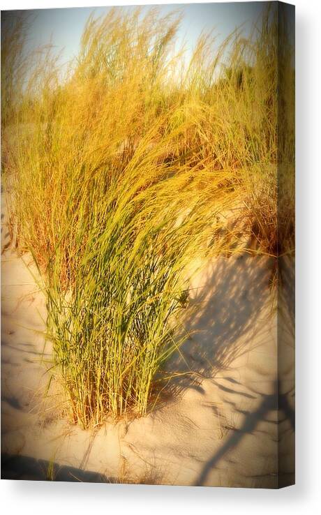 Jersey Shore Canvas Print featuring the photograph Dune Grass II - Jersey Shore by Angie Tirado