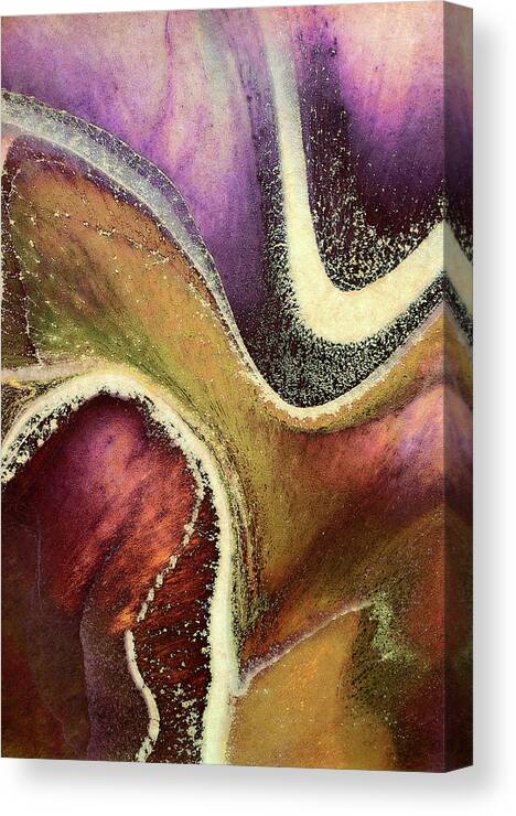 Earthy Illusions Grunge Abstract Canvas Print featuring the mixed media Earthy Illusions Grunge Abstract by Georgiana Romanovna