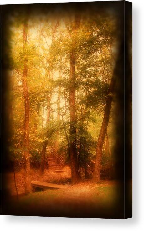 Autumn Canvas Print featuring the photograph Enchanted Path 2 - Allaire State Park by Angie Tirado
