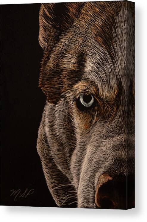 Husky Canvas Print featuring the painting Essence of Wolf Eye by Margaret Sarah Pardy