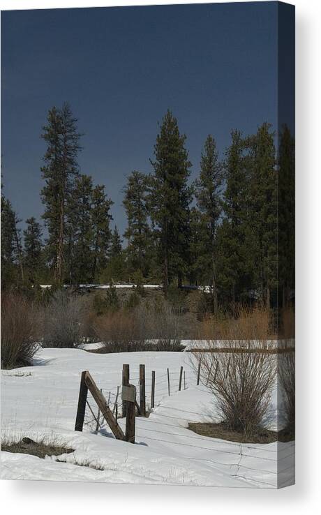 Fence Canvas Print featuring the photograph Fence in Snow by Sara Stevenson