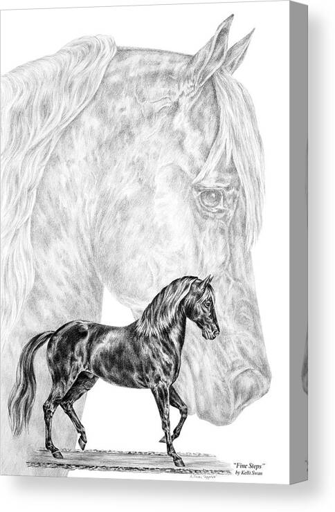 Paso Fino Canvas Print featuring the drawing Fine Steps - Paso Fino Horse Print by Kelli Swan
