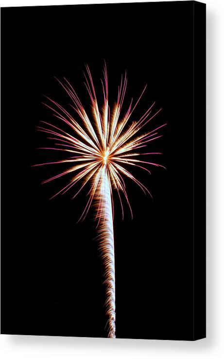 Fireworks Canvas Print featuring the photograph Fireworks 004 by Larry Ward