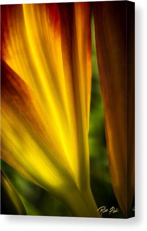 Flower Canvas Print featuring the photograph Floral Abstract by Rikk Flohr