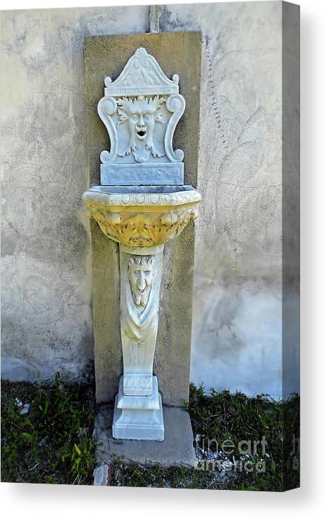 Statue Canvas Print featuring the photograph Fountain At The Tabby House by D Hackett