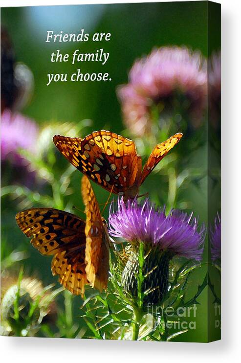 Butterfly Canvas Print featuring the photograph Friends Are Family by Kerri Farley