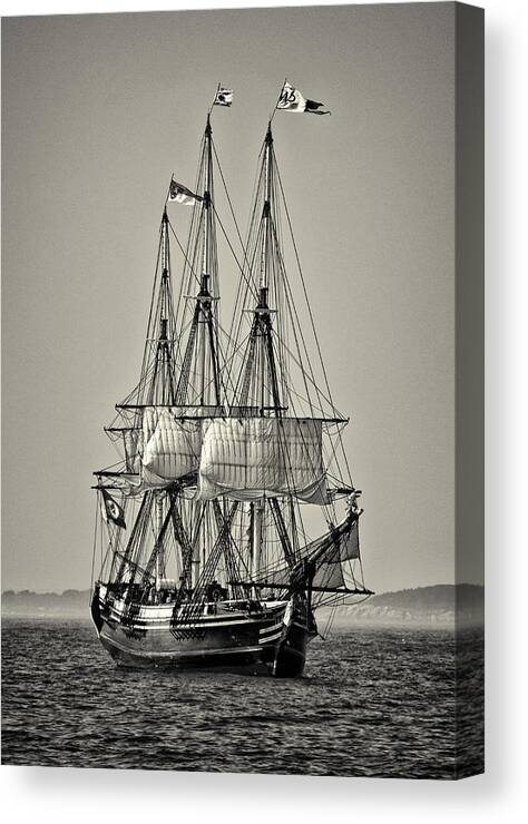 Black And White Canvas Print featuring the photograph Friendship II by Fred LeBlanc