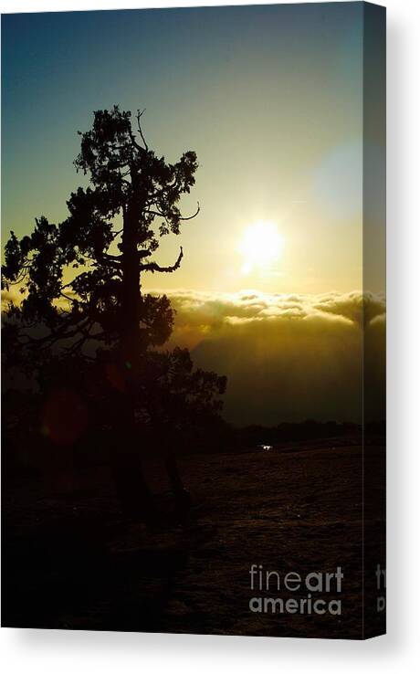 Nature Canvas Print featuring the photograph Front Row Seat by Paul Foutz