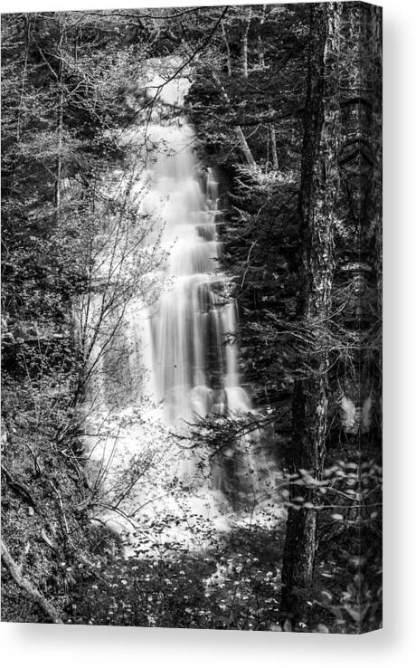 Waterfalls Canvas Print featuring the photograph Ganoga Falls - 8907 by Gordon Sarti