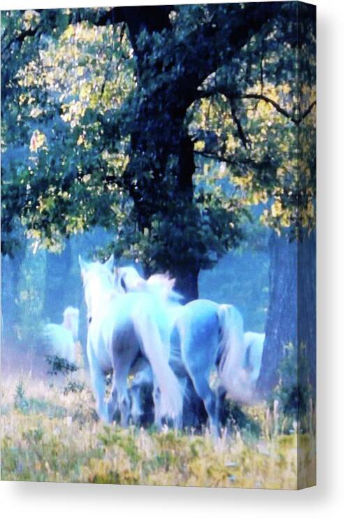 Horses Canvas Print featuring the digital art Ghost Horses by Susan Esbensen