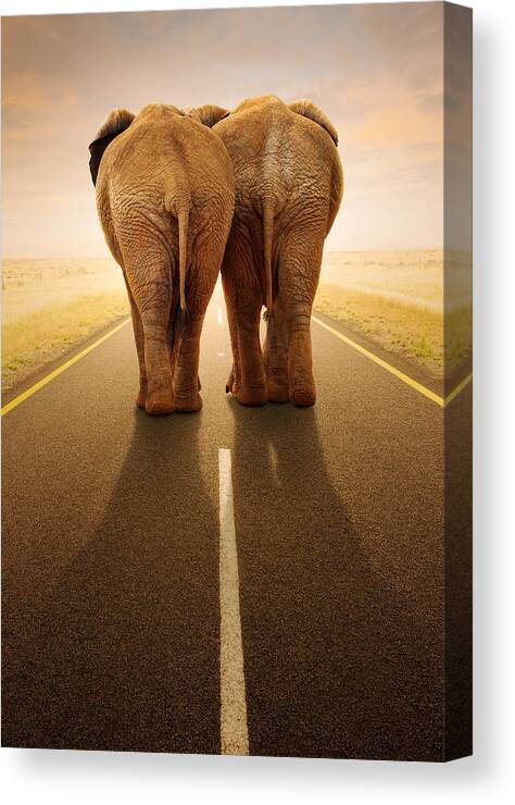Elephant Canvas Print featuring the photograph Going away together / travelling by road by Johan Swanepoel
