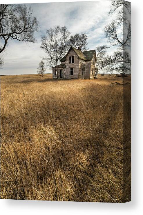 Prairie Canvas Print featuring the photograph Golden Prairie by Aaron J Groen