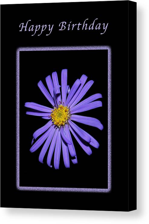 Birthday Canvas Print featuring the photograph Happy Birthday Purple Aster by Michael Peychich