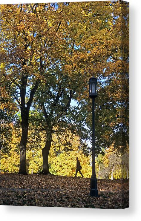 Outdoors Canvas Print featuring the photograph Hello Walk II by Doug Davidson