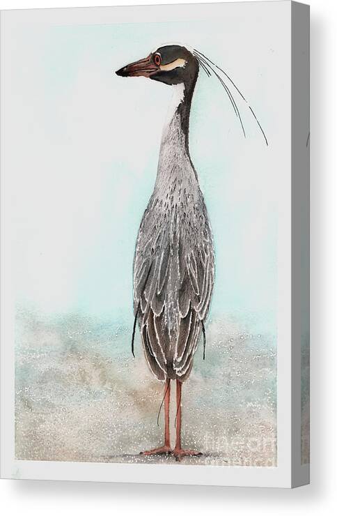 Heron Canvas Print featuring the painting Heron Posing by Hilda Wagner