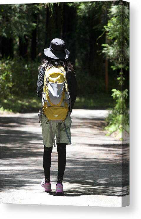 Family Canvas Print featuring the photograph Hiker by Masami Iida