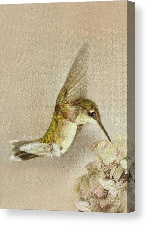 Hummingbird Canvas Print featuring the digital art Hummingbird at Flower by Dianne Morgado