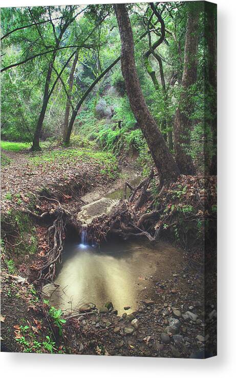 Hayward Canvas Print featuring the photograph I Had a Feeling by Laurie Search