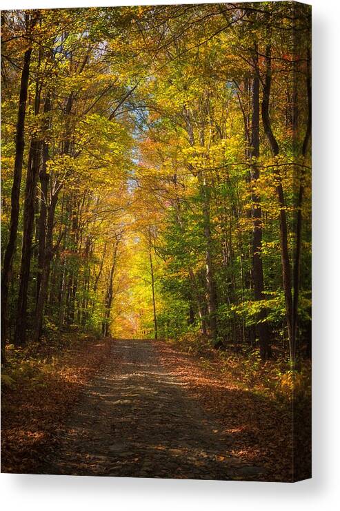 Fall Canvas Print featuring the photograph Illumined by Kim Carpentier