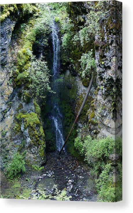 Nature Canvas Print featuring the photograph Indian Canyon Waterfall by Ben Upham III