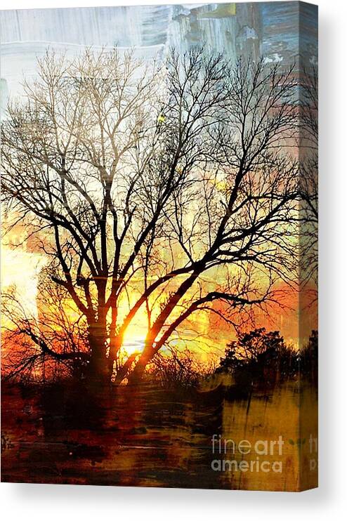 1000 Views Canvas Print featuring the photograph Kansas Sunset by Jenny Revitz Soper